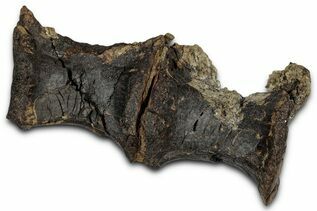 Recently Added For Sale