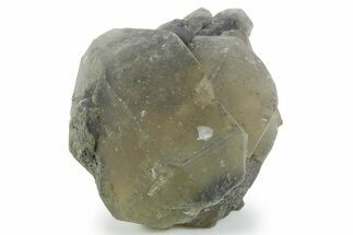 Fluorescent/Phosphorescent Hanksite Cluster - Trona, California #354571