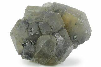 Fluorescent/Phosphorescent Hanksite Cluster - Trona, California #354573