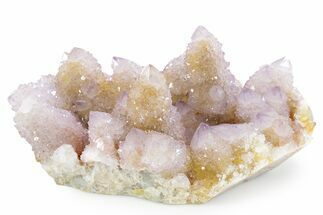 Spectacular Cactus Amethyst Crystal Cluster - South Africa #354677