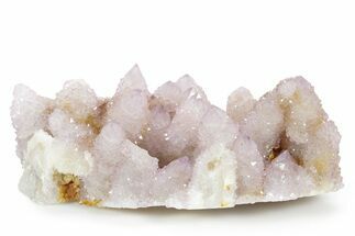 Spectacular Cactus Amethyst Crystal Cluster - South Africa #354678