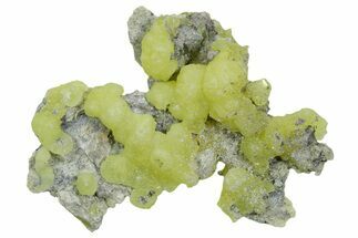 Lemon-Yellow Brucite on Matrix - Balochistan, Pakistan #354671