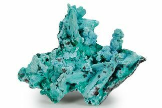 Chrysocolla and Malachite Pseudomorph - Lupoto Mine, DR Congo #354662