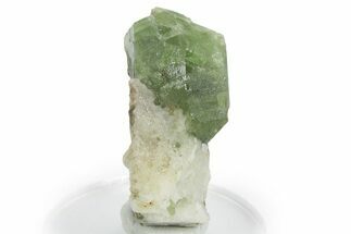 Glossy Diopside Crystals on Calcite - Afghanistan #354663