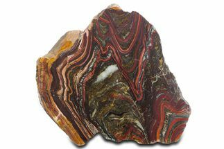 Tiger Iron Stromatolite Section - Billion Years #354886