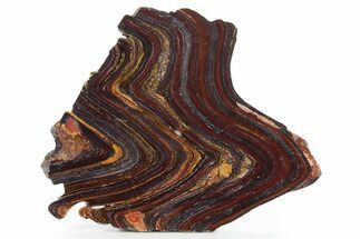 Polished Tiger Iron Stromatolite Slab - Billion Years #354894