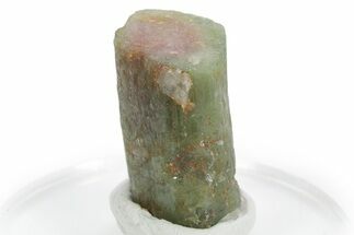 Bicolor Elbaite Watermelon Tourmaline - Afghanistan #354926