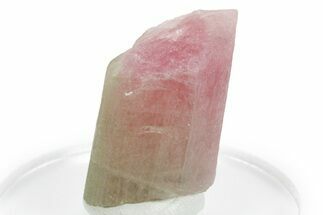 Bicolor Elbaite Watermelon Tourmaline - Afghanistan #354928