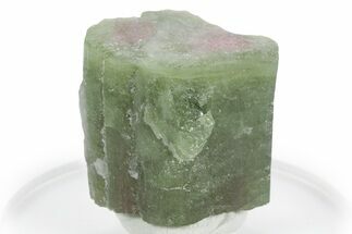 Bicolor Elbaite Watermelon Tourmaline - Afghanistan #354932