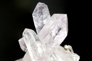 Attractive Amethyst Crystal Cluster - Las Vigas, Mexico #354999