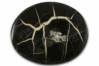 Polished Fish Coprolite (Fossil Poo) Nodule Half - Scotland #355204