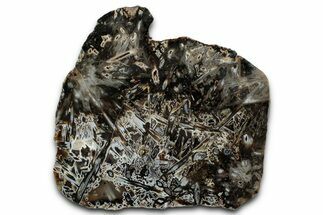 Polished Turkish Stick Agate Slab - Turkey #355278