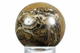 Polished Stromatolite (Greysonia) Sphere - Bolivia #355379