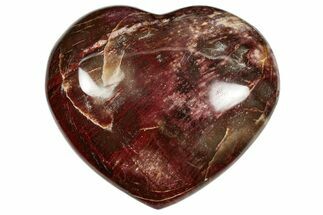 Polished Triassic Petrified Wood Heart - Madagascar #355580