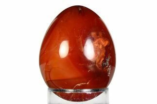 Vibrant Polished Carnelian Agate Egg - Madagascar #355467