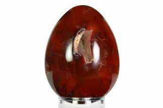Vibrant Polished Carnelian Agate Egg - Madagascar #355481