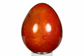 Vibrant Polished Carnelian Agate Egg - Madagascar #355483