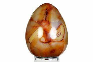 Vibrant Polished Carnelian Agate Egg - Madagascar #355491