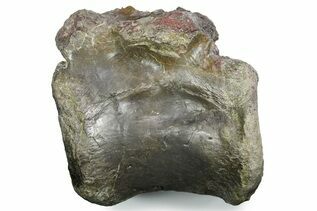 Premium Specimens For Sale