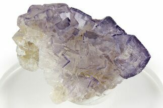 Purple Fluorite Crystal Cluster - Chiapas, Mexico #355914