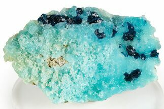 Vibrant Blue Veszelyite Crystals on Hemimorphite - Congo #355933