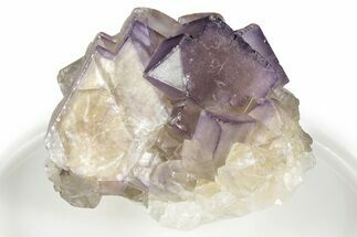 Purple Fluorite Crystal Cluster - Chiapas, Mexico #355954