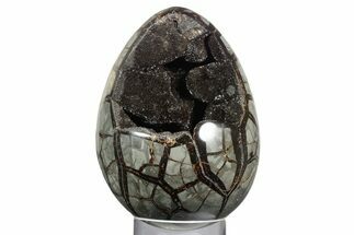 Septarian Dragon Egg Geode - Sparkly Black Crystals #355910