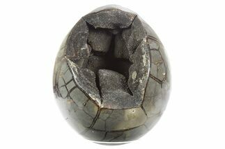 Septarian Dragon Egg Geode - Sparkly Black Crystals #355908