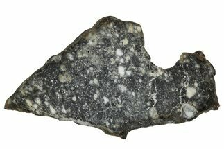 Polished Lunar Meteorite ( g) Slice - Aridal #355984