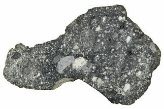 Polished Lunar Meteorite ( g) Slice - Aridal #355985