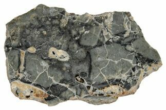 Polished Lunar Meteorite ( g) Slice - Adrar #355990