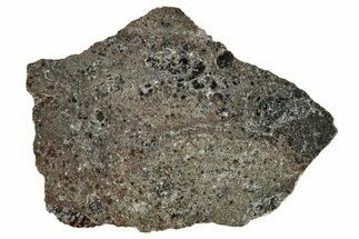 Polished Lunar Meteorite ( g) Slice - Ash Shaqqah #356002