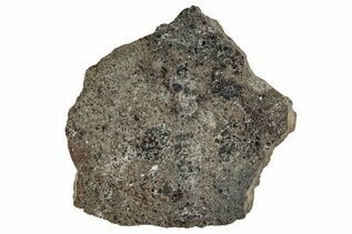 Ash Shaqqah 002 Meteorites For Sale