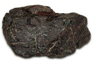 Canyon Diablo Iron Meteorite ( g) - Arizona #356019
