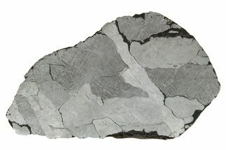 Etched Canyon Diablo Meteorite Section ( g) - Arizona #356043