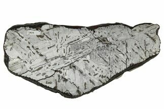 Etched Canyon Diablo Meteorite Slice ( g) - Arizona #356087