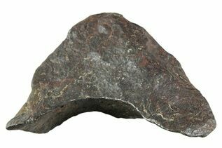 Canyon Diablo Meteorites For Sale