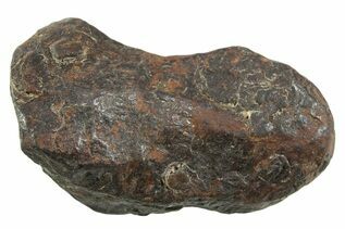Canyon Diablo Meteorites For Sale