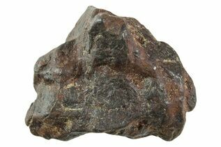 Iron Meteorites For Sale