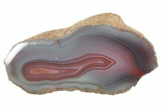 Colorful Polished Banded Agate - Zimbabwe #355899