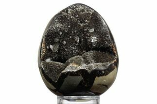 Septarian Dragon Egg Geode - Sparkly Black Crystals #356148