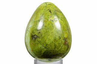 Polished Green Opal Egg - Madagascar #356164