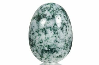 Polished Tree Agate Egg - India #356342