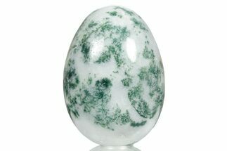 Polished Tree Agate Egg - India #356345