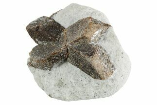Twinned Staurolite Cross In Glittering Mica-Schist - Russia #356575