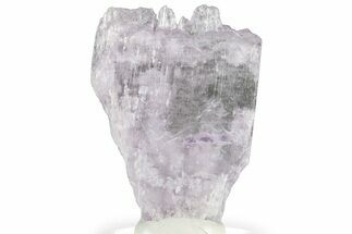 Lavender Kunzite Crystal ( g) - Afghanistan #356654