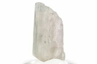 Colorless Kunzite Crystal ( g) - Afghanistan #356659