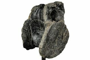 Recently Added For Sale