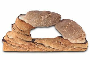 Buy Picture Sandstone