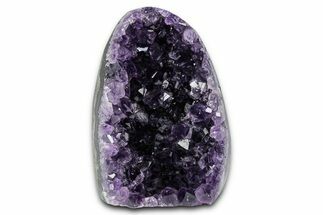 Free-Standing Amethyst Crystal Cluster - Uruguay #357244